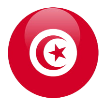 Development web Tunisie