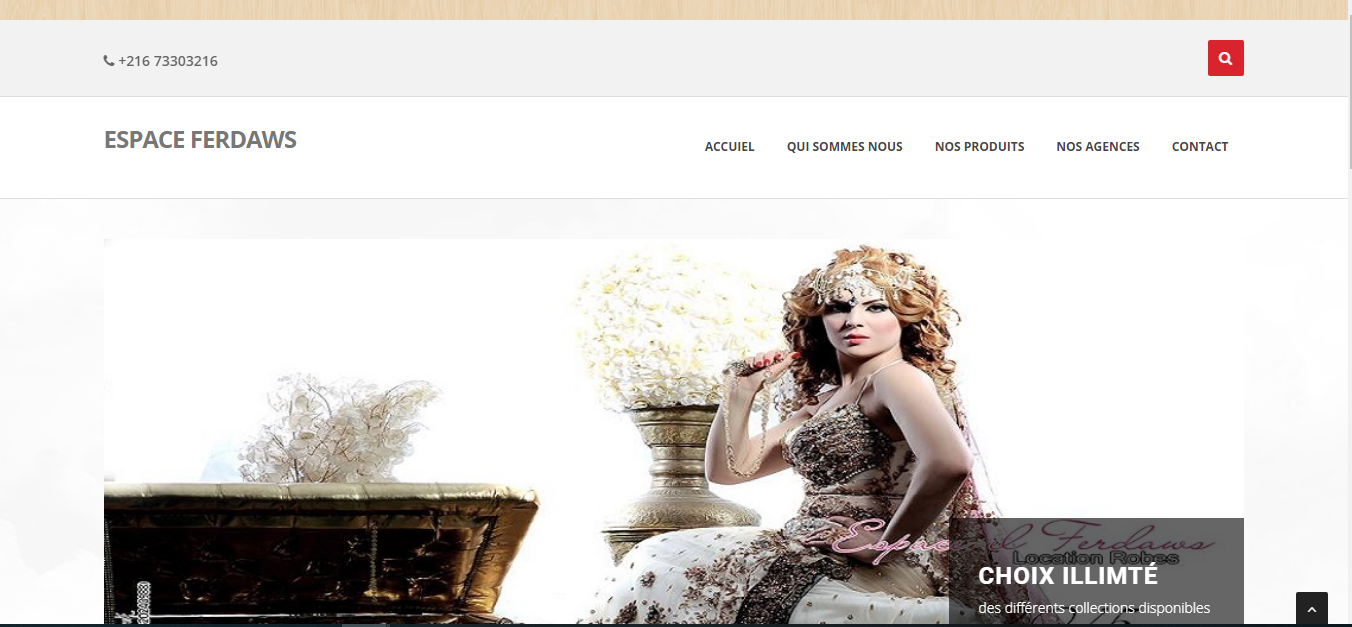 creation site web Tunisie
